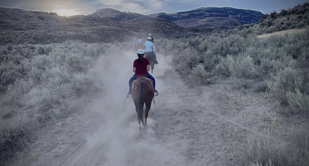Sun Hills Riding Centre