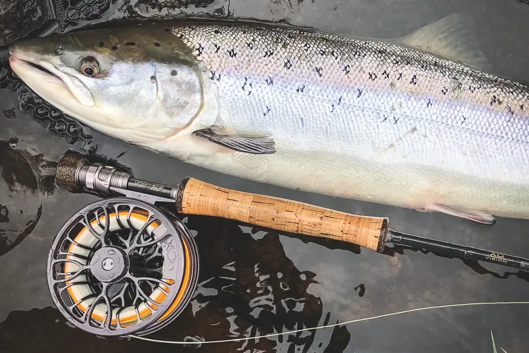 Yorkshire Fly-Fishers Club