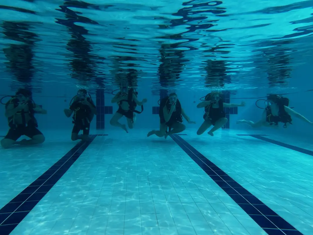 Oakleigh Park Swimming Pool