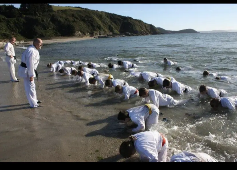 Godoryu Karate