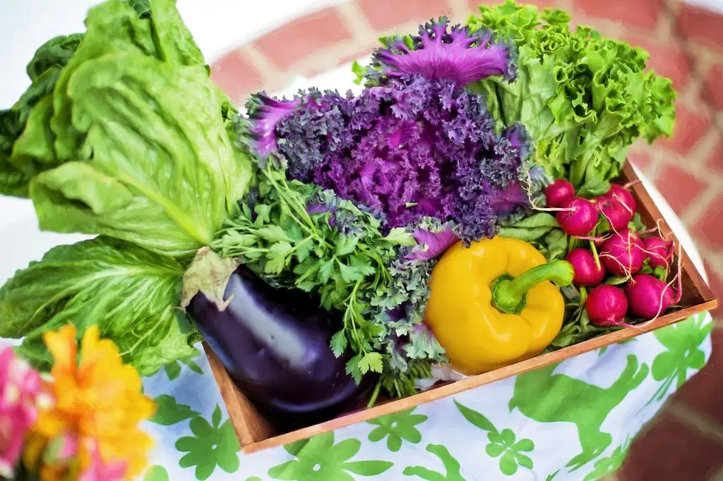 SM Training & Nutrition