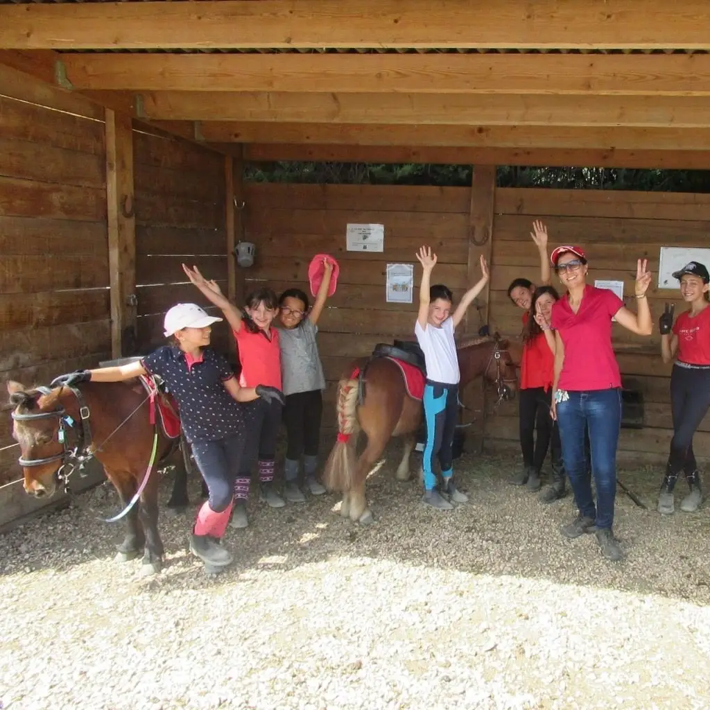 Mon Ami Poney Sauveterre De Rouergue