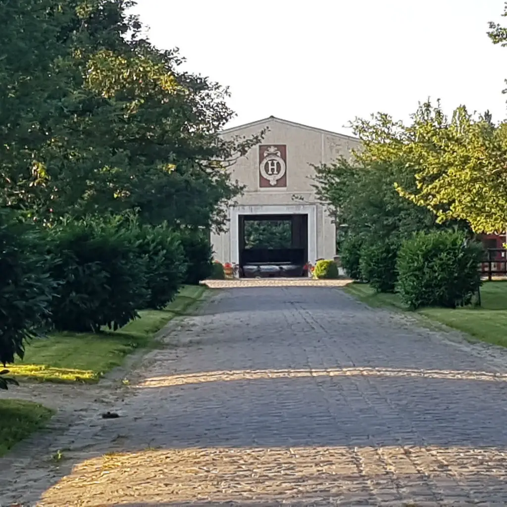 Comité Départemental d'Equitation des Yvelines