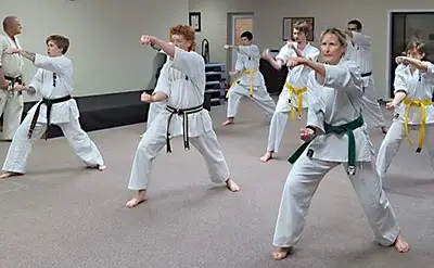 Alpine Dojo
