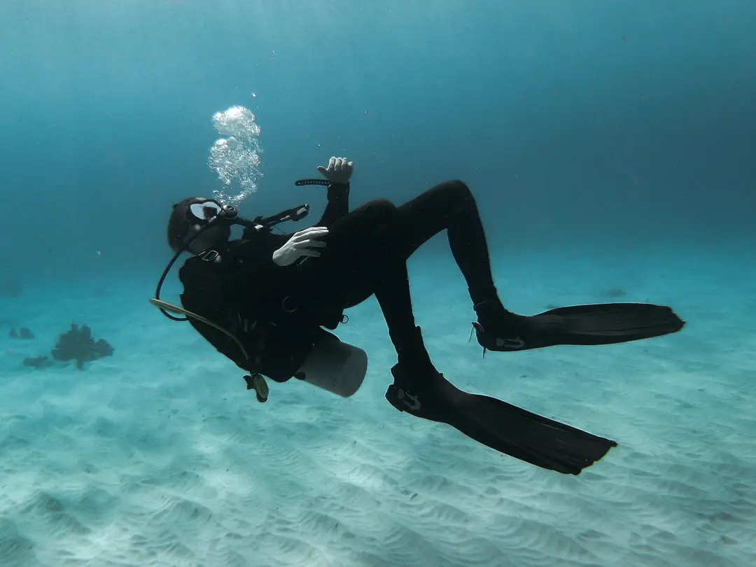 Whitianga Dive Charters