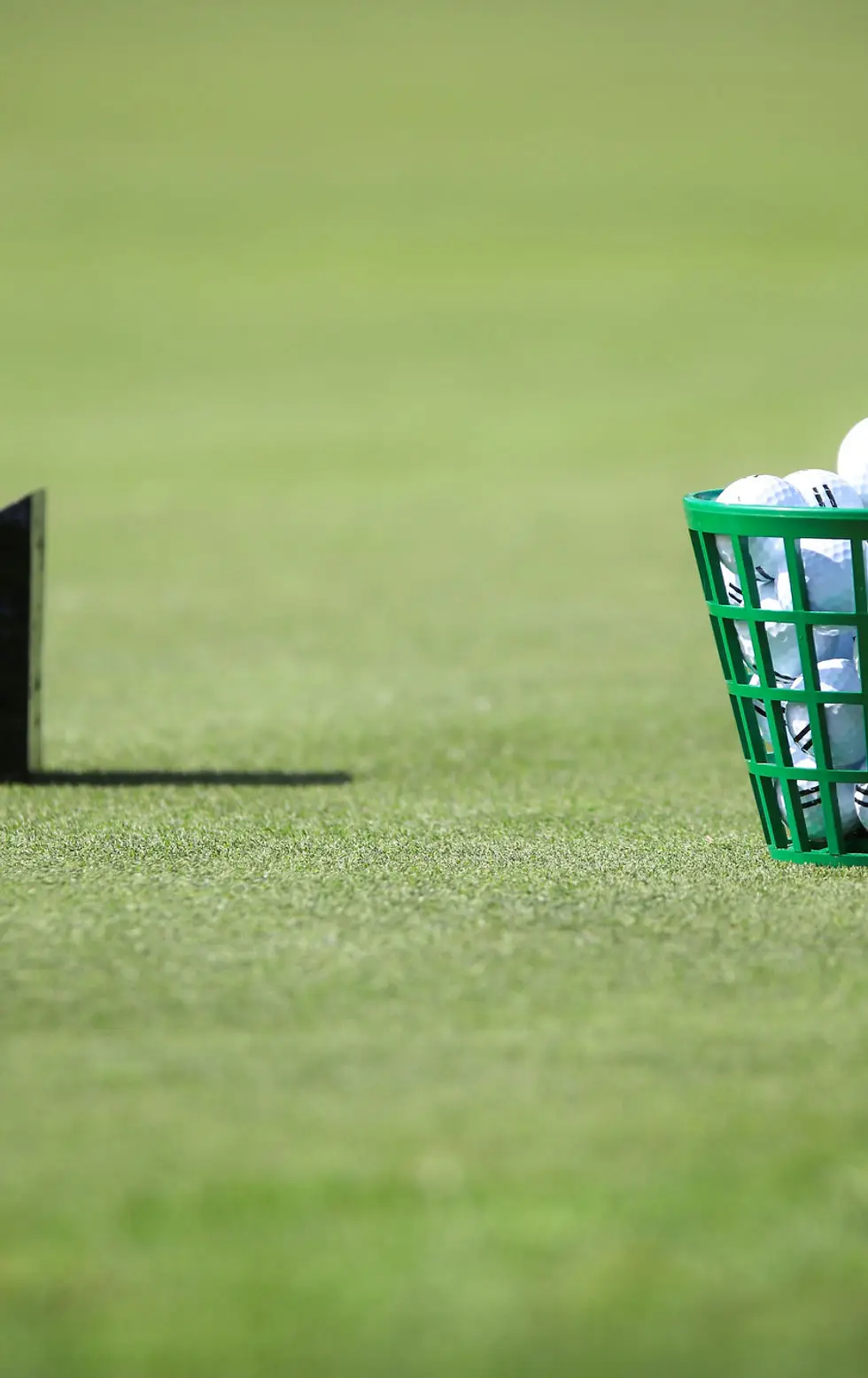 SM Golf Coaching