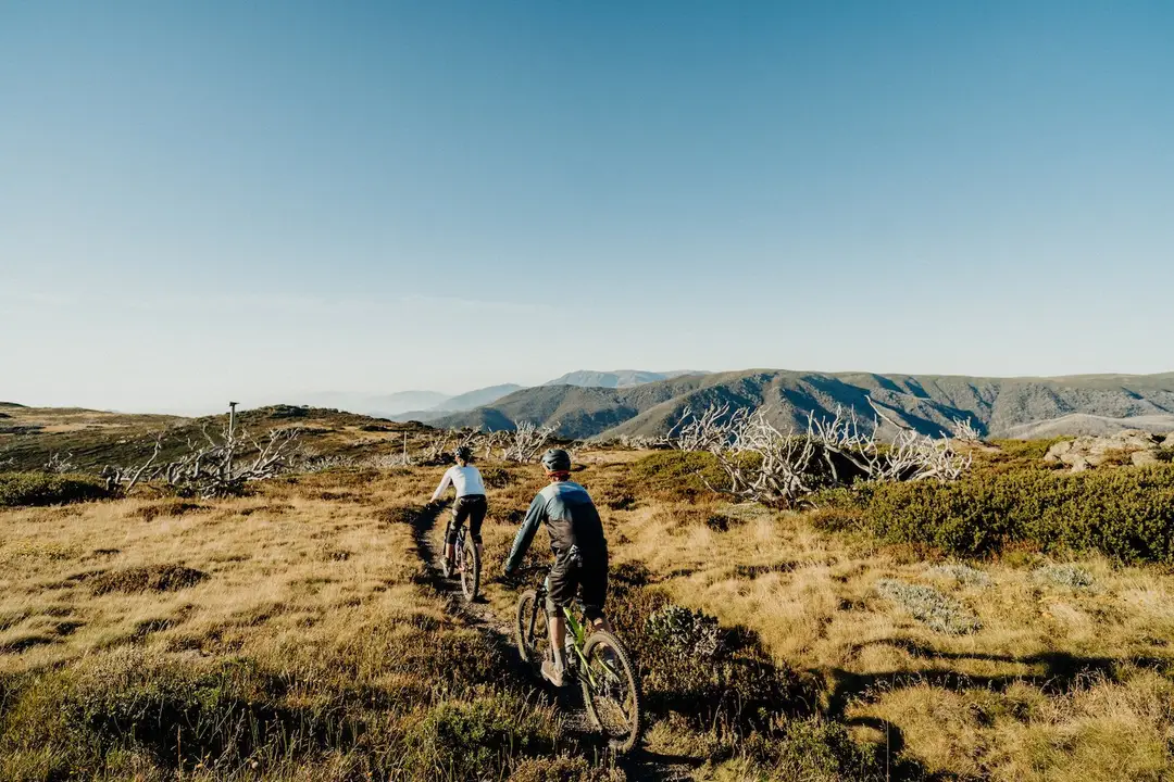 Falls Creek Resort Management