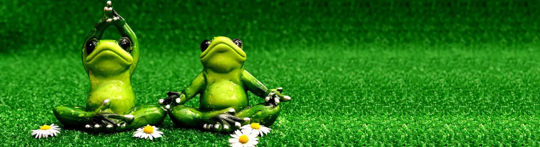 Yoga'ttitude
