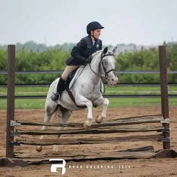 Maplegrove Equestrian Centre