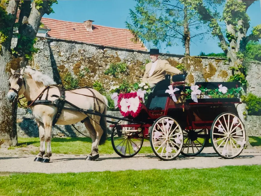 Au Rythme des Poneys