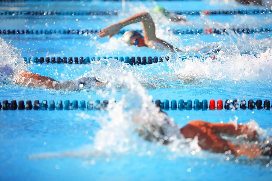 Calgary P-Too Learn-to-Swim Association