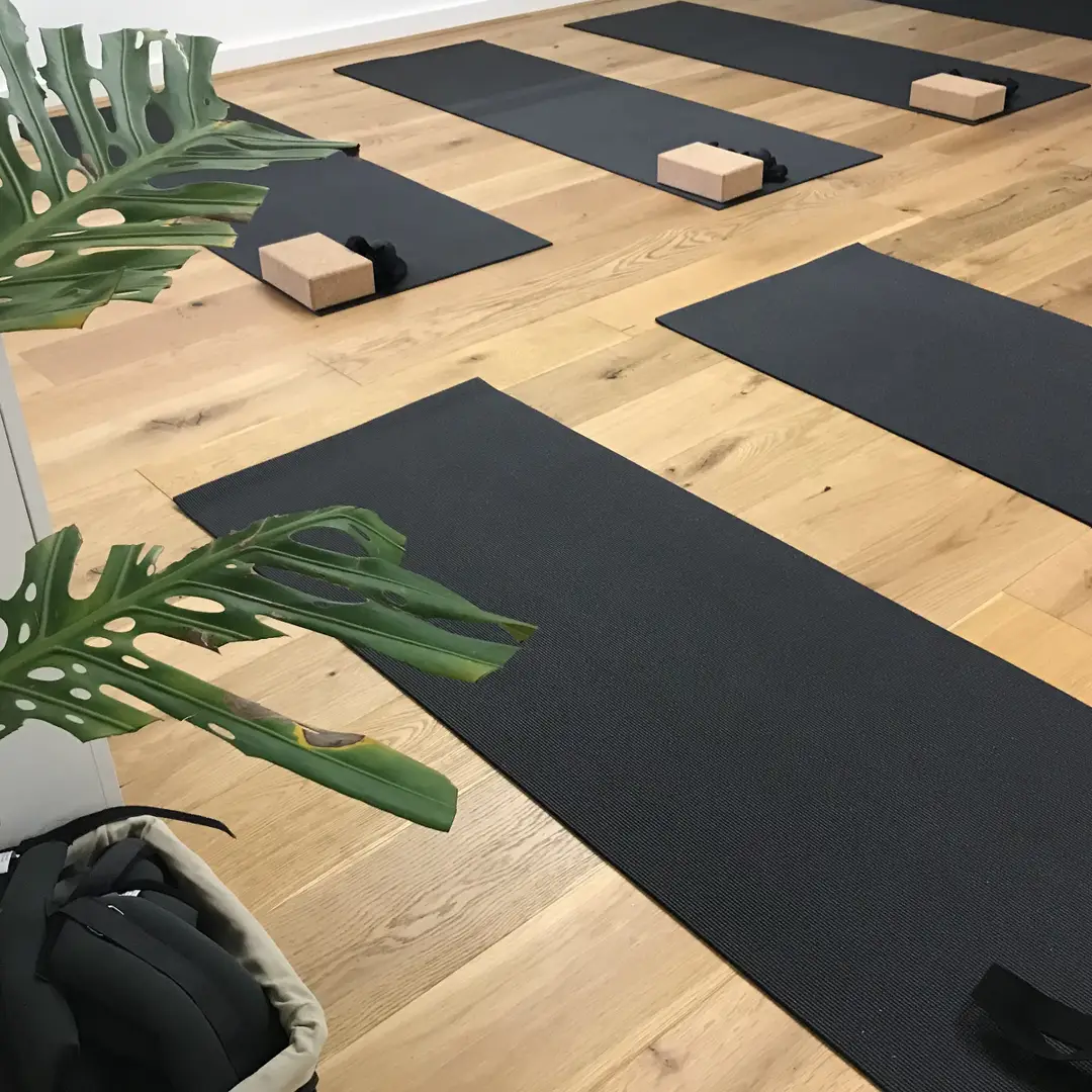 Chelsea Heights Yoga