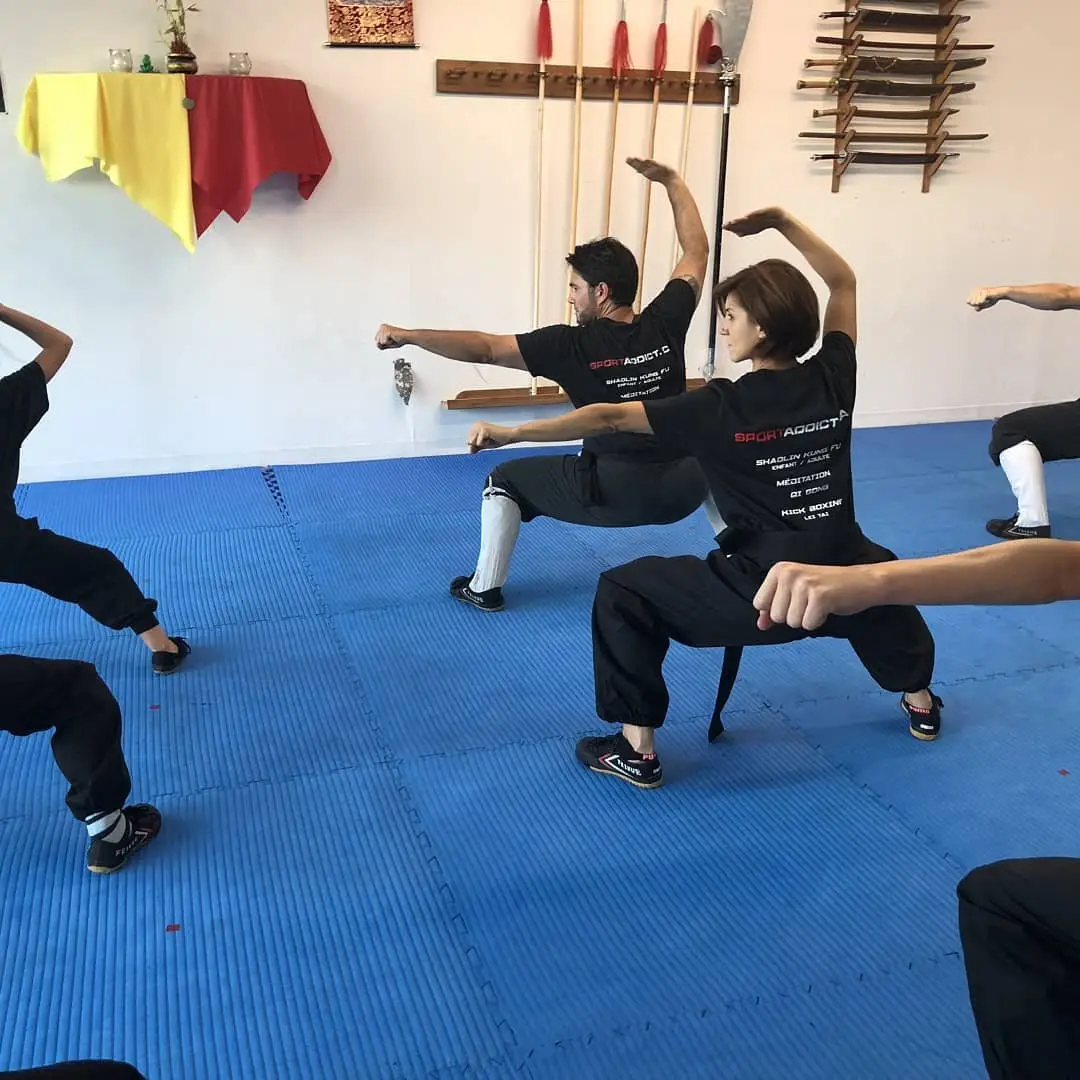 Zhengti kung fu