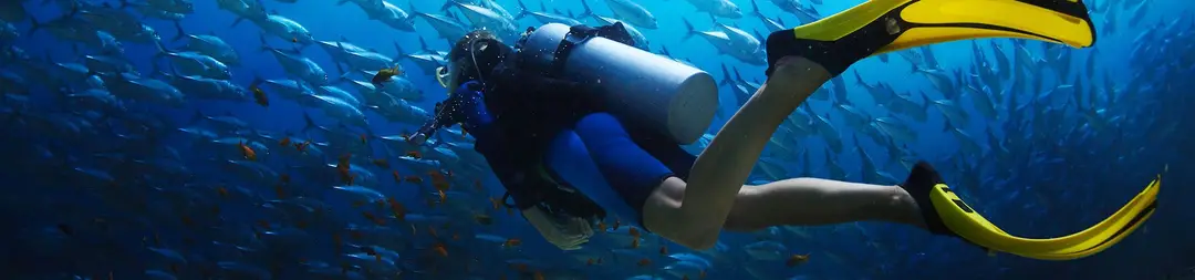 Dive HQ Auckland