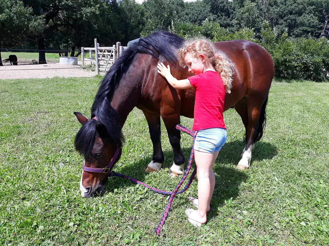 Les Ecuries Du Rosey, Poney-Club