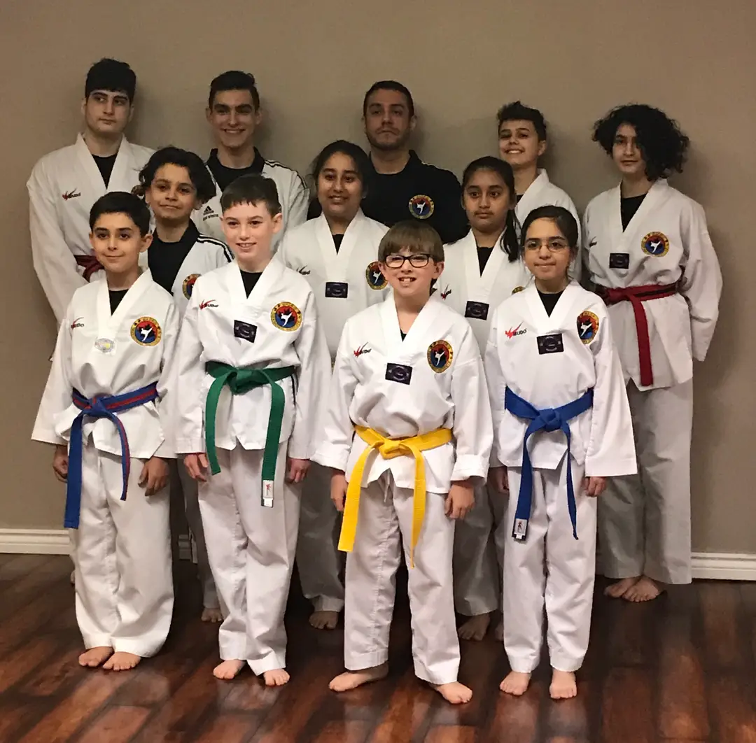 Madrid Taekwondo Institute