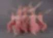 Studio 747