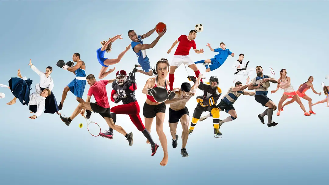 Warriors Martial Arts & Sports Federation-Indian