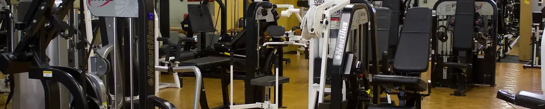 Strata Internal Performance - Muscle System Care & Personal Training