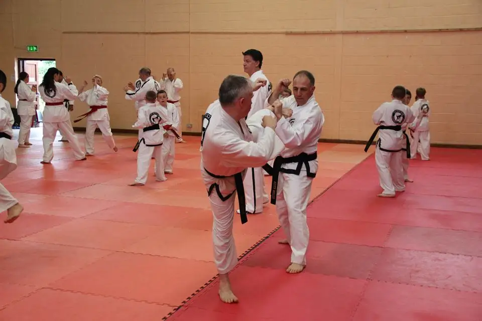 J.H. Kim Taekwon-do Institute