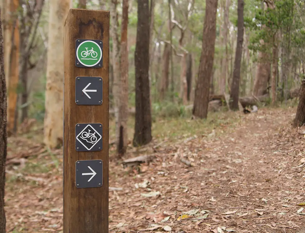 Sugar Bag Road Mountain Bike Trails