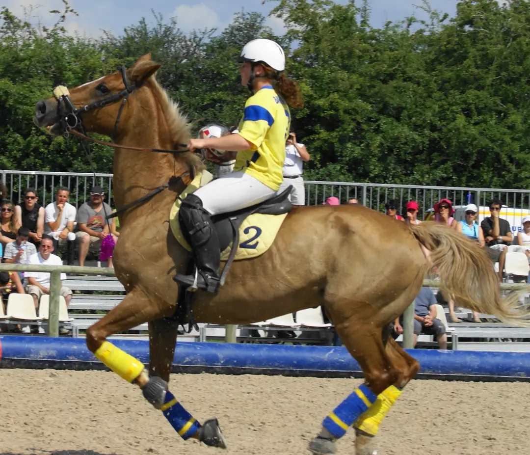 Sarl Club Hippique A Cheval Lypca Nadine