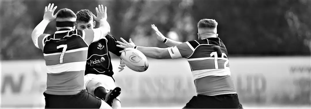 Wicklow Rugby Club