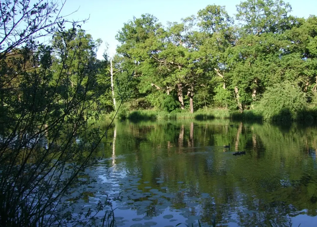 Hadley Angling and Preservation Society (HAPS)