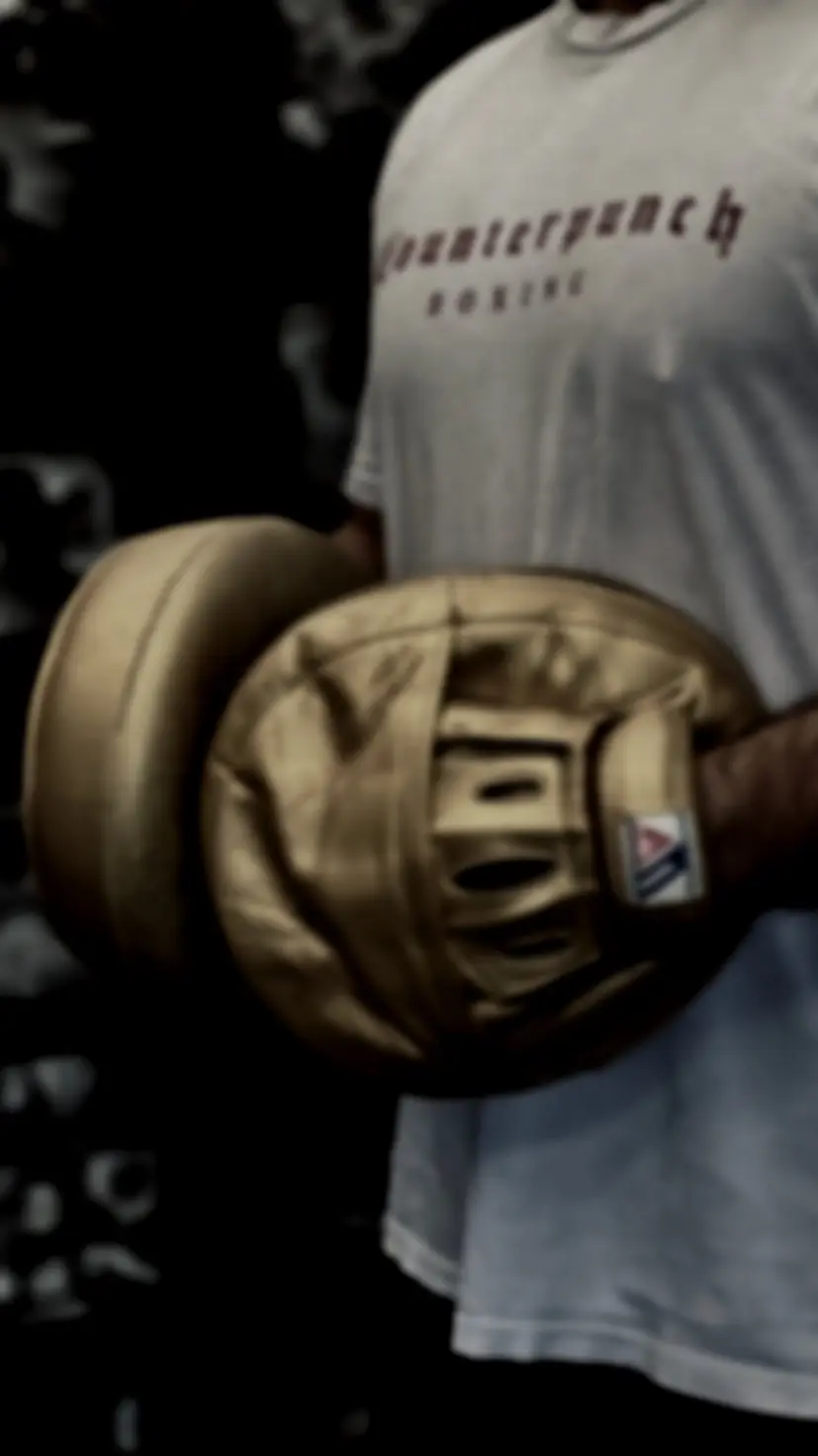Counterpunch Boxing