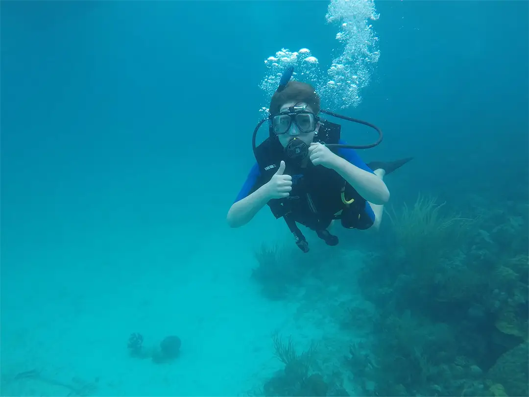 The Diving Center