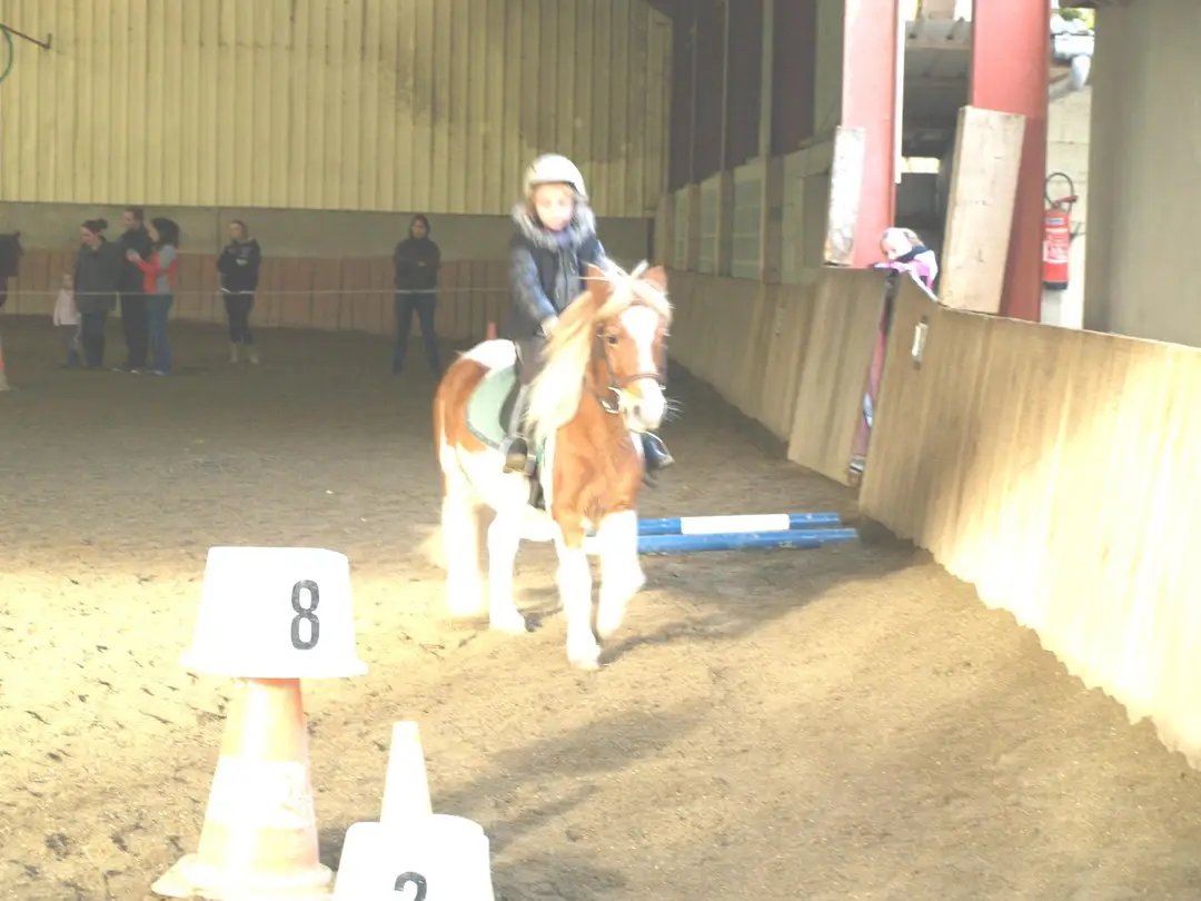 Pony Club Centre Equestre Parc