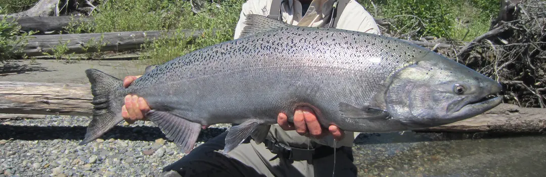 Wild Rivers Lodge