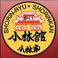 Bushido Kids Karate