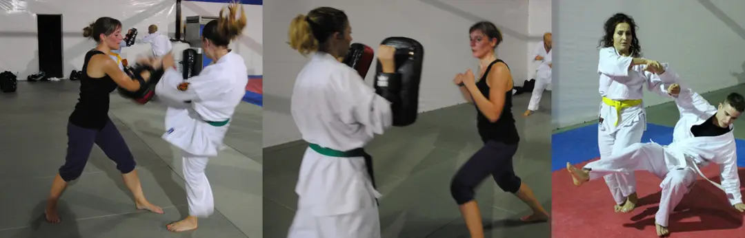 Fukushikan Ryu Club D'art Martial, Self Defense À Colomiers Et Toulouse