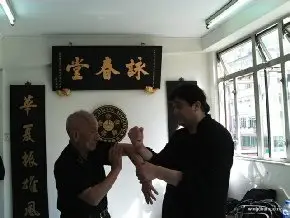 Martial Arts Classes Wing Chun