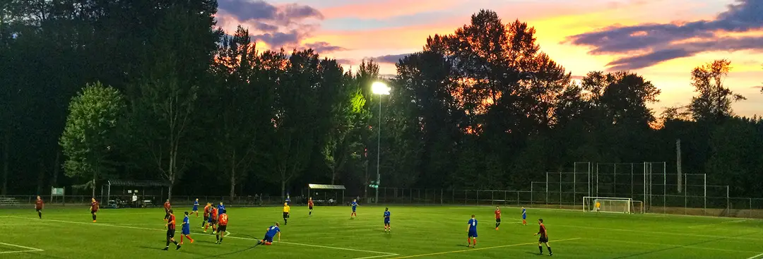 Trasolini Turf Field