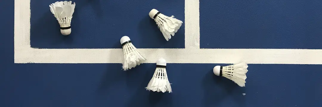 South Australian Badminton Association