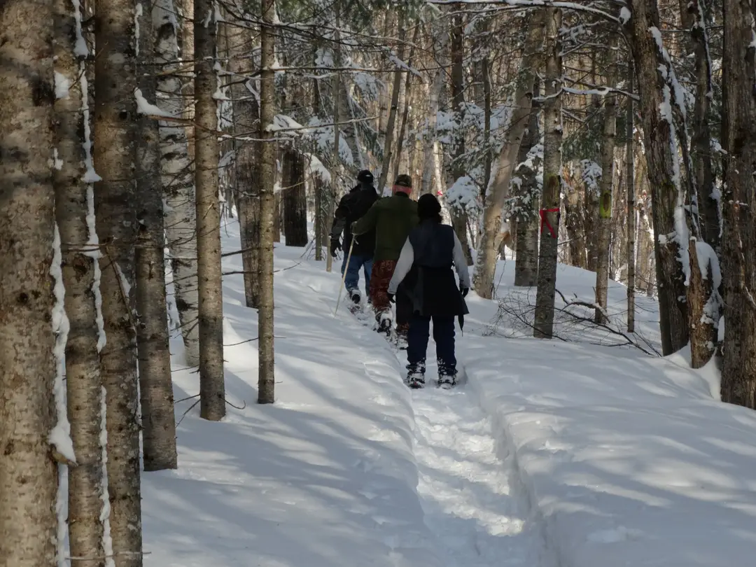 Centre de ski de fond Grande-Rivre