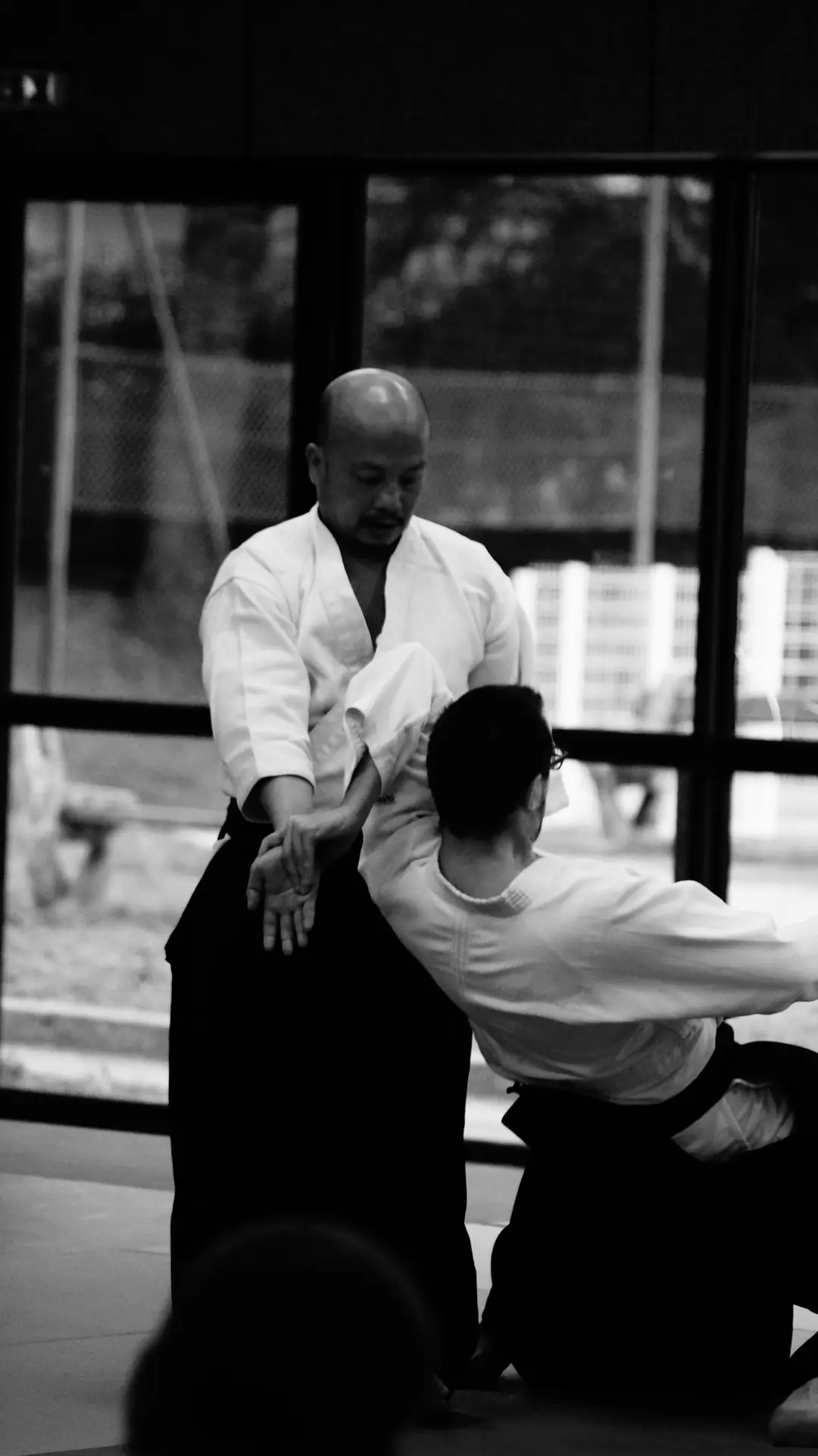 Aikido Caladois 183 Rue Auguiot 69400 Villefranche-Sur-Saône