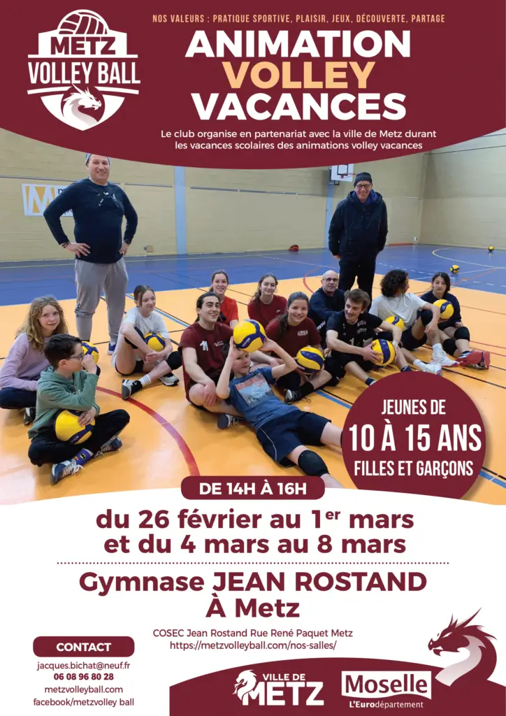 METZ VOLLEY BALL