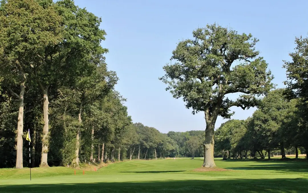 Ladbrook Park Golf Club