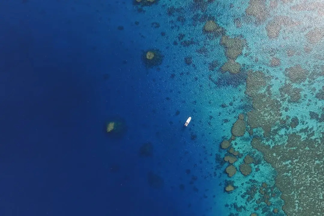 Aroona Luxury Boat Charters