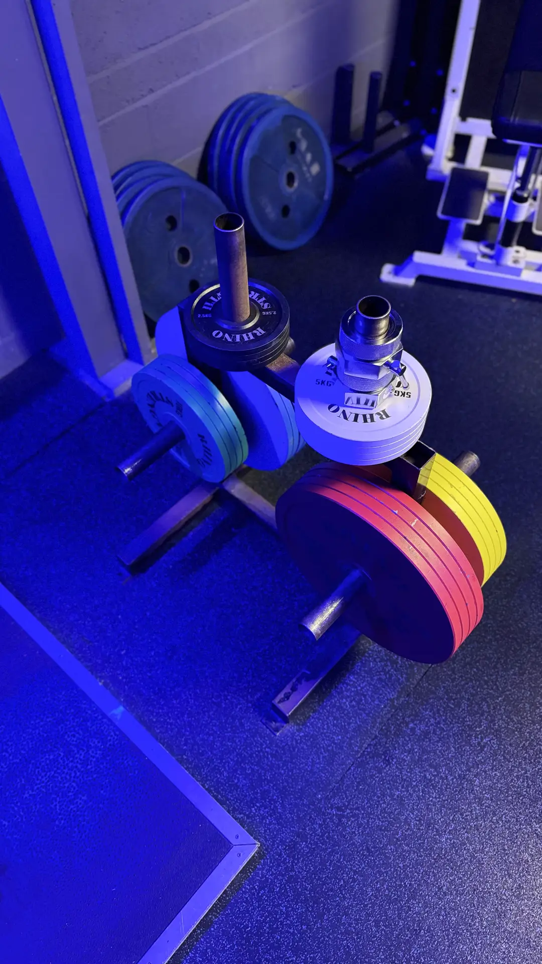 Anvil Gym