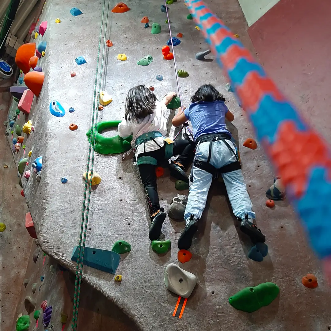 Vertically Inclined Rock Gym