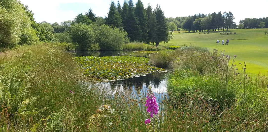 The Mendip Golf Club