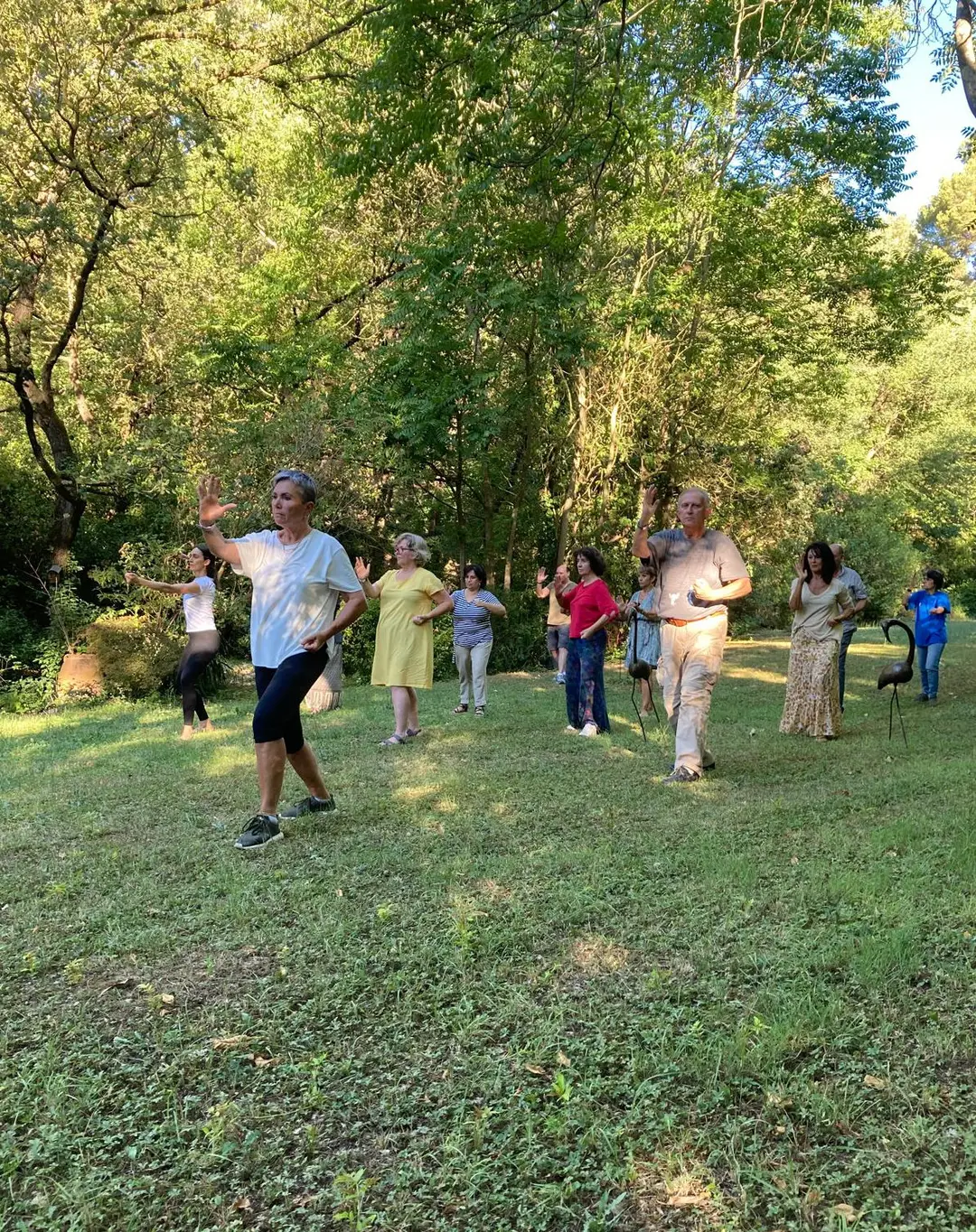 Alignment Tai Chi Chuan -