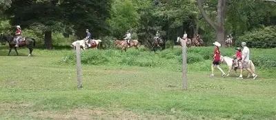 T J Stables