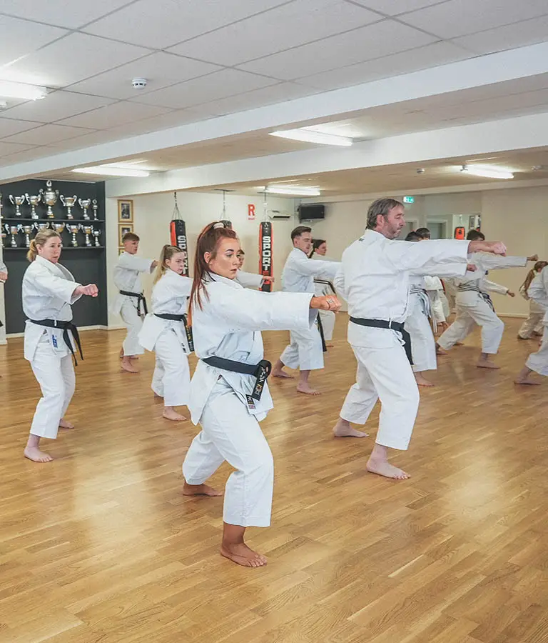 The Karate Dojo - Ripon