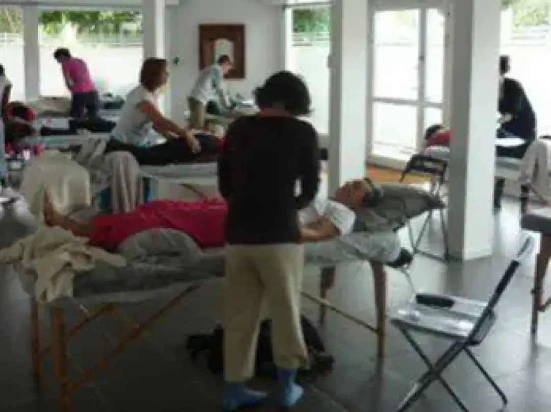 Institute Chinese Medicine De Toulouse