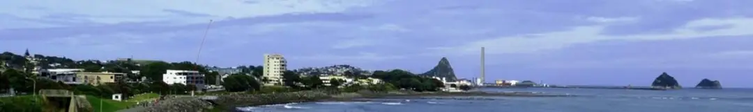 New Plymouth Bridge Club